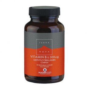 Vitamin B12 500 mcg. - 50 stk.