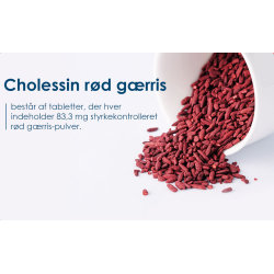 Cholessin Rd grris - 120 stk.