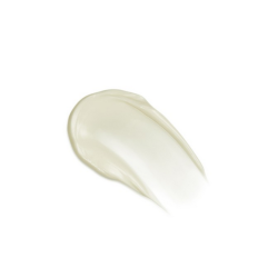 Weleda Firming Day Cream - 40 ml.