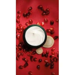 Weleda Firming Day Cream - 40 ml.