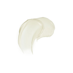 Weleda Firming Night Cream - 40 ml.