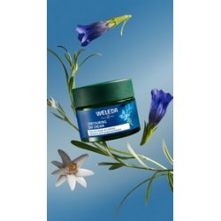 Weleda Contouring Day Cream - 40 ml.