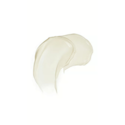 Weleda Contouring Night Cream  - 40 ml.