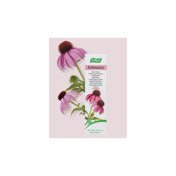 A.Vogel Echinacea Creme - 30 g
