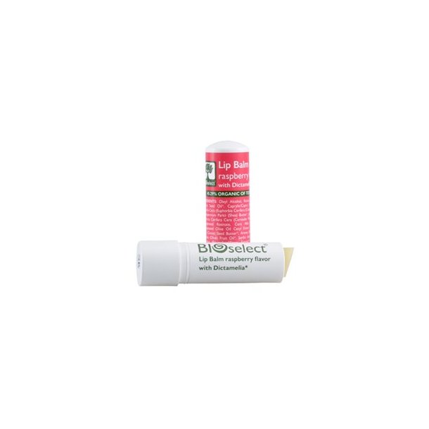 BIOselect Lbepomade Hindbr - 4 g.