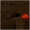 Lumie Bedbug Lightbox