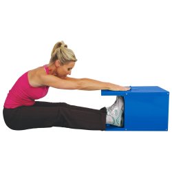Sit and Reach Box