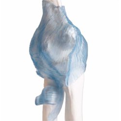 Anatomisk skelet af albueled inkl. holder