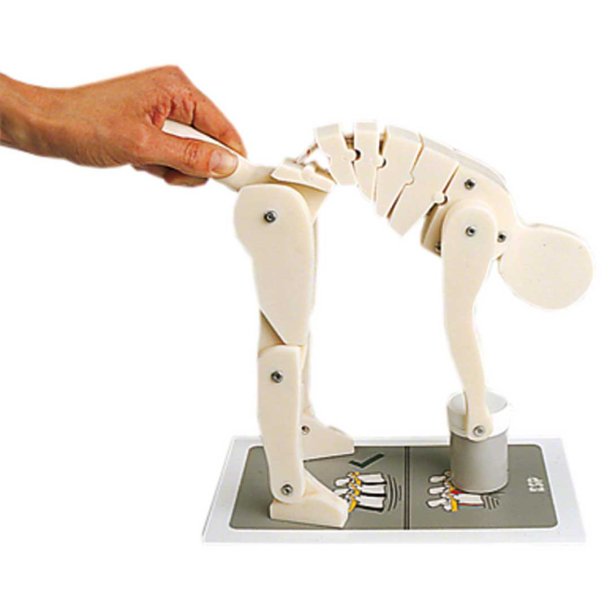 Demonstrations figur af korrekt l�ft