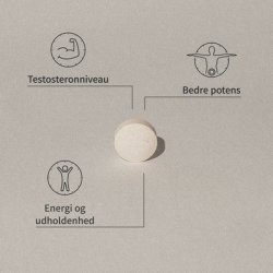 Mezina Man Power - 90 tab.