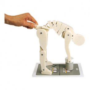 Demonstrationsfigur - Rigtigt l�ft