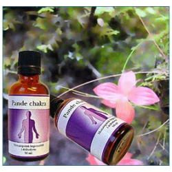 Holistica Medica Pande chakra - 50 ml.