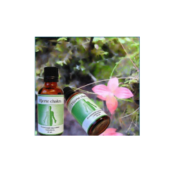 Holistica Medica Hjerte chakra  - 50 ml.