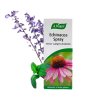 A. Vogel Echinacea Spray - 30 ml.