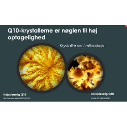 Pharma Nord Q10 Phyto Bio-Quinone 100 mg - 60 kapsler