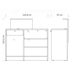Vista Consolle Professionel Receptionsdisk - Natural