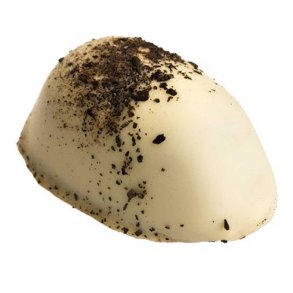 �koladen Lakrids marcipan p�ske�g m. chokolade overtr�k - �kologisk