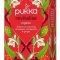 Pukka Revitalise tea - Kapha - kologisk