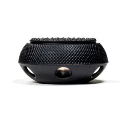 Tetsubin Japansk Tepottevarmer i stbejern