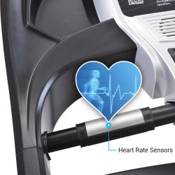 Ancheer L�beb�nd