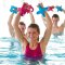 BECO Betomic Aqua dumbell