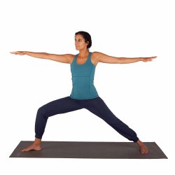 Yamadhi Roll-Down Yogabukser i kologisk bomuld og elastan - Mrkebl